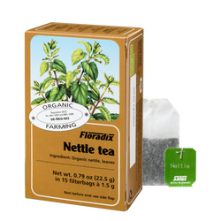 Nettle tea