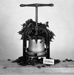 Geschichte