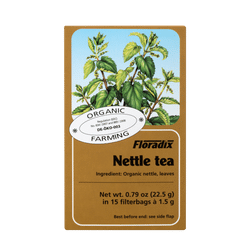 Nettle tea