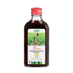 Pure fresh plant juice Plantain