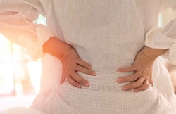 Stützt die Nierengesundheit