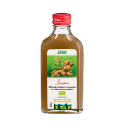 Pure fresh plant juice Ginger