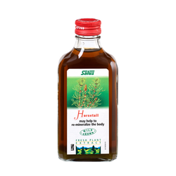 Fresh plant extract Horsetail