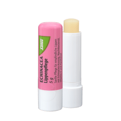 Echinacea Lip Care Stick