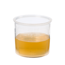 Pure fresh plant juice Fennel