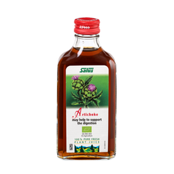 Pure fresh plant juice Artichoke