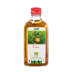 Pure fresh plant juice Celery Root