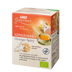 Gourmet Ginger Orange Spicy
