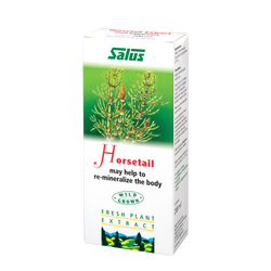 Fresh plant extract Horsetail