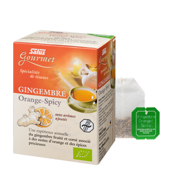 Gourmet Ginger Orange Spicy