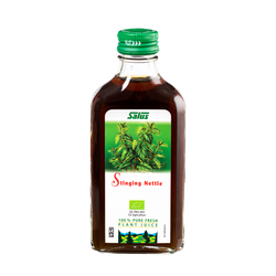 Pure fresh plant juice Stinging Nettle