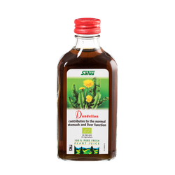 Pure fresh plant juice Dandelion