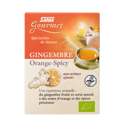 Gourmet Ginger Orange Spicy