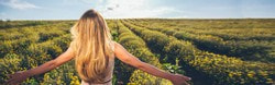 Weitere Infos zur Schoenenberger Naturkosmetik