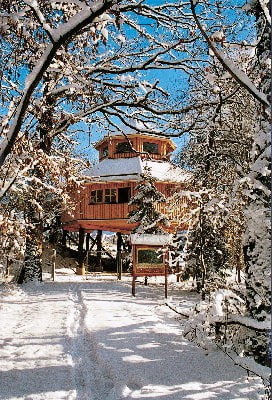 A haven for nature - Naturkundemuseum Winter