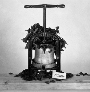 Historische Saftpresse