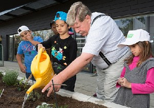 Planting in the own garden