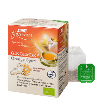 Gourmet Ginger Orange Spicy