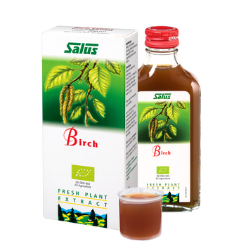 Fresh plant extract Birch