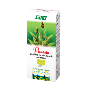 Pure fresh plant juice Plantain