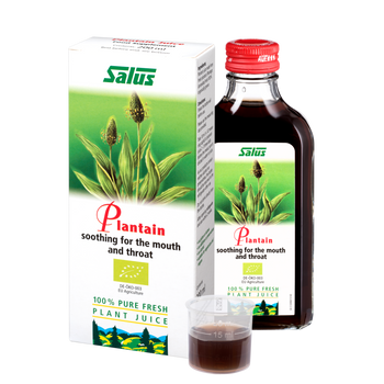 Pure fresh plant juice Plantain
