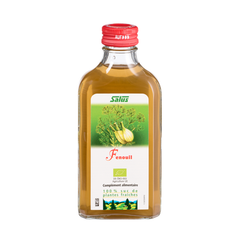 Pure fresh plant juice Fennel