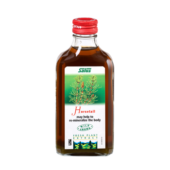 Fresh plant extract Horsetail