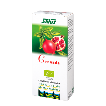 Pure fresh plant juice Pomegranate