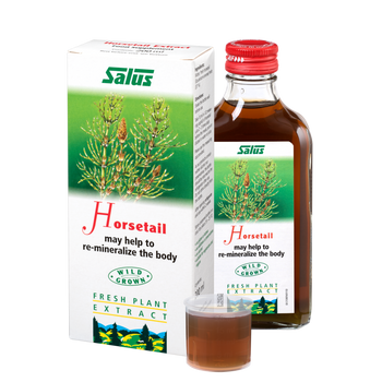 Fresh plant extract Horsetail