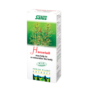 Fresh plant extract Horsetail