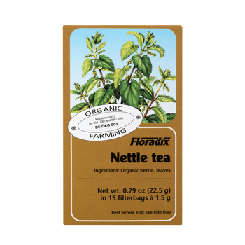 Nettle tea