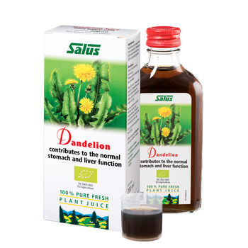 Pure fresh plant juice Dandelion