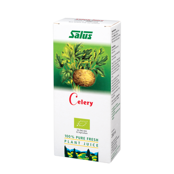 Pure fresh plant juice Celery Root