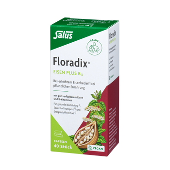 Salus Floradix Eisen plus B12