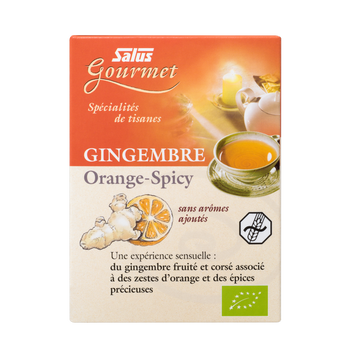 Gourmet Ginger Orange Spicy