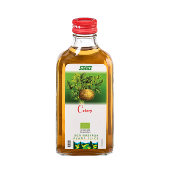 Pure fresh plant juice Celery Root