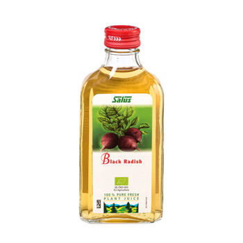 Pure fresh plant juice Black Radish