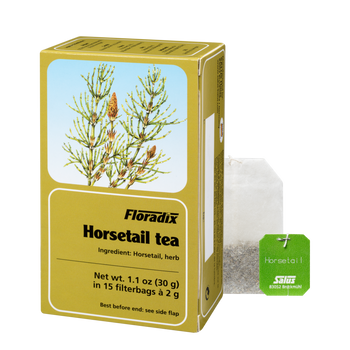 Horsetail tea