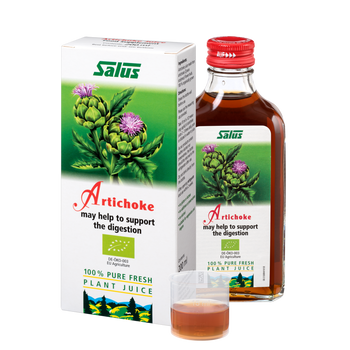 Pure fresh plant juice Artichoke