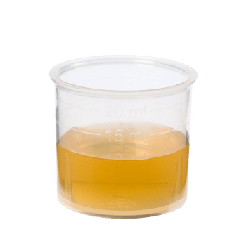 Pure fresh plant juice Fennel