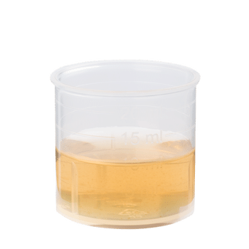 Pure fresh plant juice Celery Root