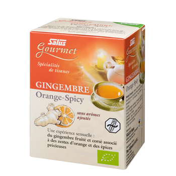 Gourmet Ginger Orange Spicy
