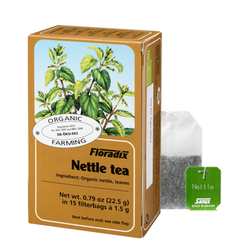 Nettle tea