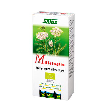 Pure fresh plant juice Yarrow